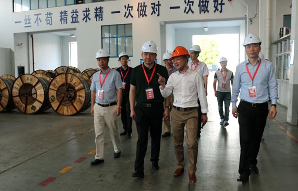 靖江市、溧陽市青商會齊聚上上電纜參觀交流