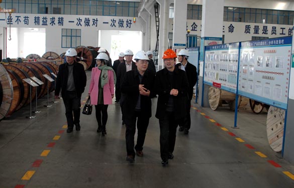 2015年3月13日，金壇市經(jīng)信局領(lǐng)導(dǎo)一行來上上電纜考察