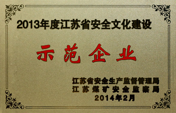 上上集團(tuán)榮獲“2013年度江蘇省安全文化建設(shè)示范企業(yè)”稱號(hào)