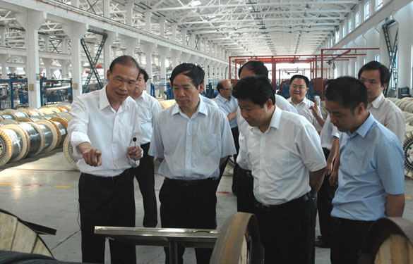 江蘇省省長助理、省科技廳廳長徐南平來上上集團調(diào)研