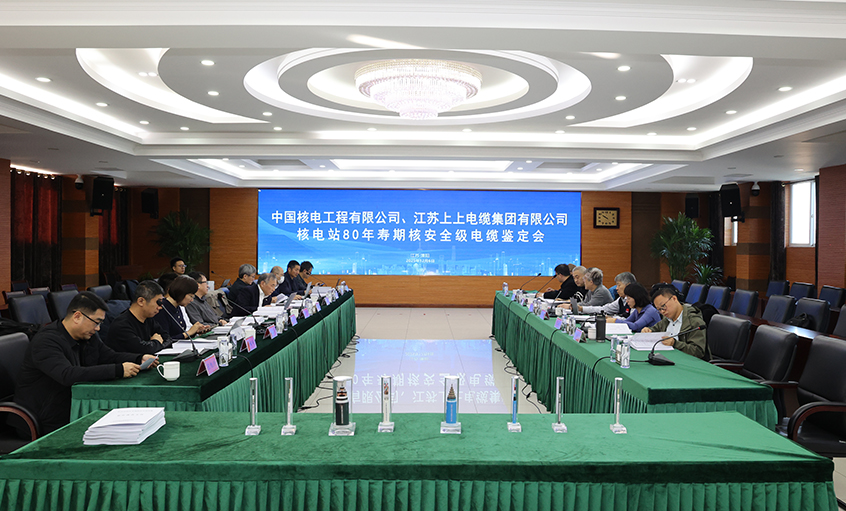 國(guó)際領(lǐng)先，上上電纜“核電站80年壽期核安全級(jí)電纜”通過(guò)國(guó)家級(jí)鑒定